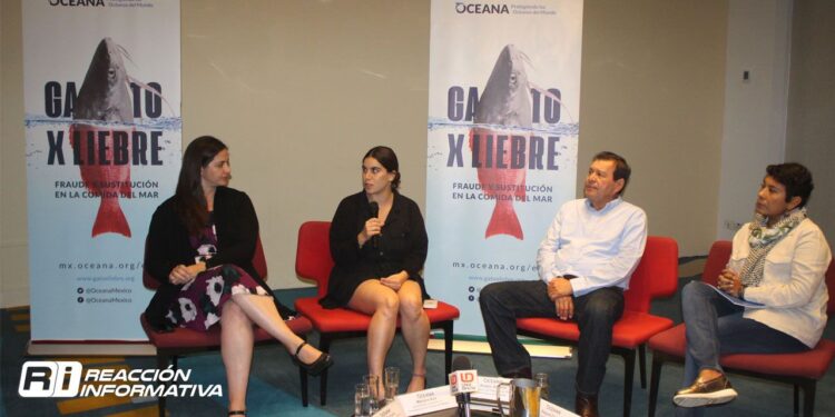 ¡Alto al Gato por Liebre!; Oceana informa sobre situación de sustitución de especies pesqueras