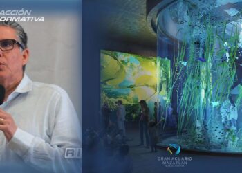 Acuario Mar de Cortés de Mazatlán recibiría 900 mil visitantes el primer año