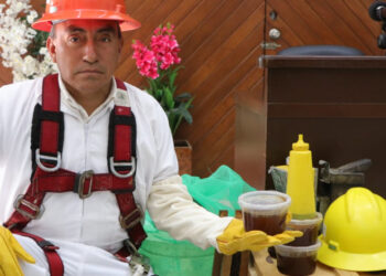 Mazatlán primer municipio de Sinaloa en trabajar en la protección y el rescate de abejas