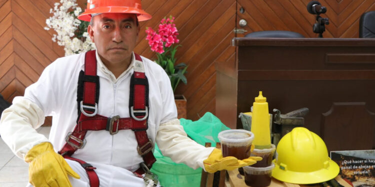 Mazatlán primer municipio de Sinaloa en trabajar en la protección y el rescate de abejas