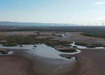 Presas de México con déficit de 7%, sólo tres embalses están hasta el tope