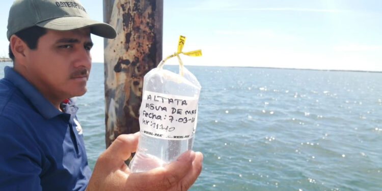 Playas de Sinaloa son aptas para bañarse