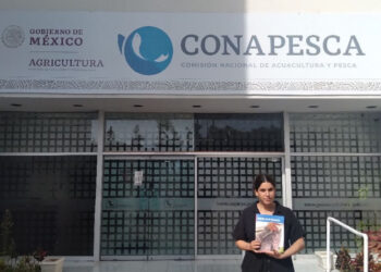 En Sinaloa llegan a pagar hasta seis veces más por pescado de menor calidad