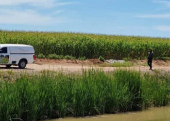 Aprehende Policía de Investigación a mujer por caso de niña semienterrada en Juan José Ríos