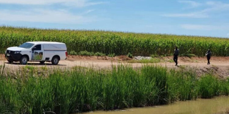 Aprehende Policía de Investigación a mujer por caso de niña semienterrada en Juan José Ríos