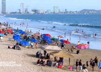 “No porque cobremos caro no nos vamos a llenar”: José Gámez