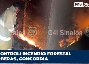 ¡Sin control! Incendio forestal en Loberas, Concordia