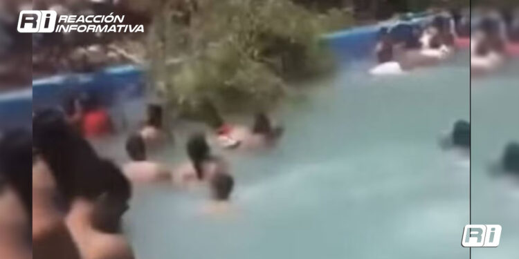 Árbol de 10 metros cae en alberca y mata a bebé; hay también 12 heridos