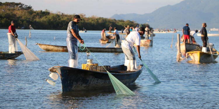 Esta semana comenzará la dispersión del recurso para Inspección y Vigilancia en Sinaloa: Guerra Mena