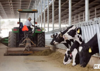 Precio de la leche en México sube casi 28% en tres años