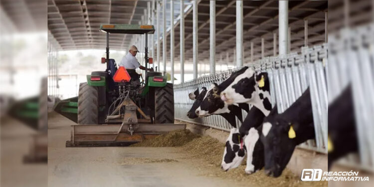 Precio de la leche en México sube casi 28% en tres años