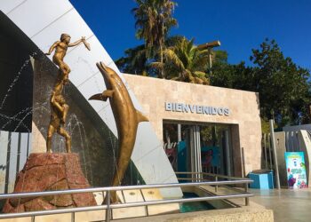 No cerraremos Acuario hasta que liquiden a trabajadores: Alcalde de Mazatlán