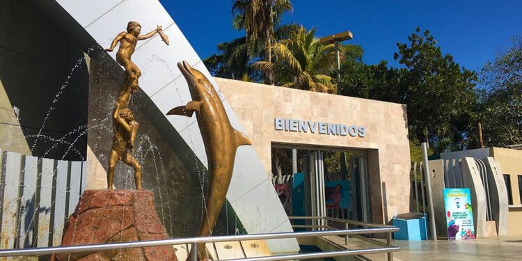 No cerraremos Acuario hasta que liquiden a trabajadores: Alcalde de Mazatlán