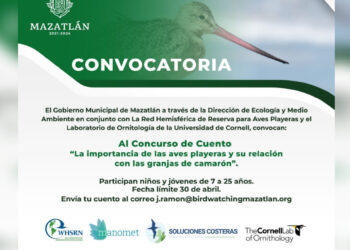 Participa en el concurso de cuento sobre la importancia de las aves playeras