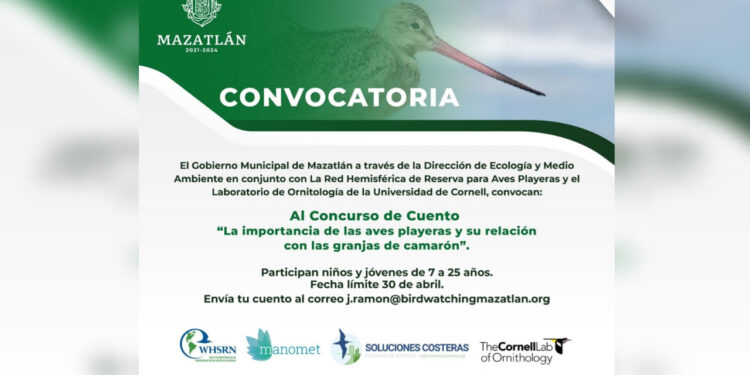 Participa en el concurso de cuento sobre la importancia de las aves playeras