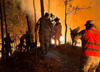 Llama Ecología y Medio Ambiente a prevenir incendios forestales