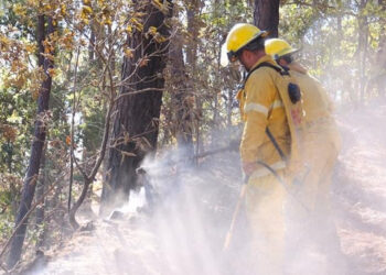 Tras controlarse incendio en Concordia, pobladores regresaron a sus viviendas: Protección Civil