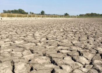 El Niño favorecerá sequías severas y picos de calor, advierten