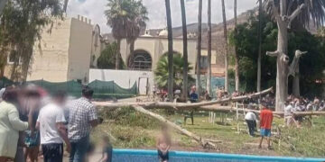 Bebé muere tras colapso de árbol en balneario de Guanajuato