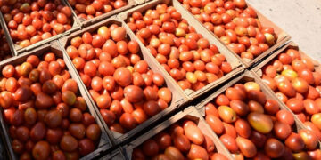 Exportaciones agroalimentarias aumentan 11.5 por ciento en febrero