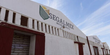 AMLO se compromete a resolver el desfalco en Segalmex: Si Ignacio Ovalle tiene responsabilidad, tiene que asumirla