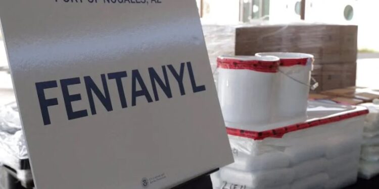 ‘Narco’ mexicano ‘profesionaliza’ el cultivo de droga en Colombia