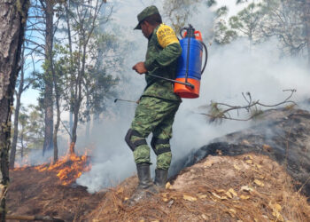 Sedena y Guardia Nacional trabajan en la zona del incendio