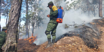 Sedena y Guardia Nacional trabajan en la zona del incendio