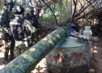 México busca castigar con hasta 15 años de cárcel a quien trafique con precursores químicos del fentanilo