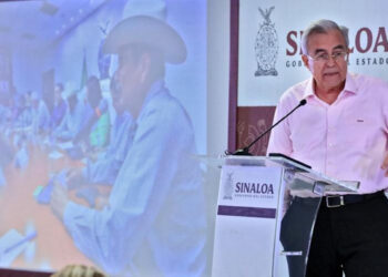 Rocha y el titular de SEGOB se reunirán el miércoles con grandes compradores de maíz