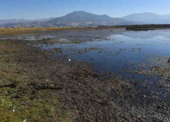 Conagua publica el Monitor de Sequía de México tras 15 días a ciegas por hackeo