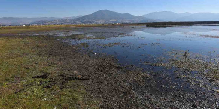 Conagua publica el Monitor de Sequía de México tras 15 días a ciegas por hackeo