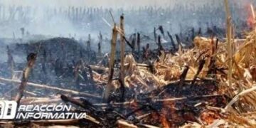 Con instalación de comité PC regulará la quema de Soca