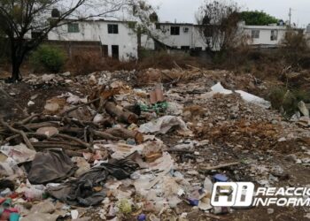 Reportan vecinos del Fraccionamiento Rincón Real basurero clandestino