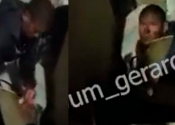 (VIDEO) Hombre se come perro en comunidad de Guanajuato; denuncian caso ante Fiscalía