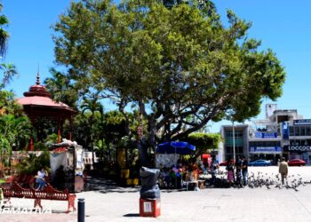 Baja afluencia de visitantes en Mazatlán esta semana