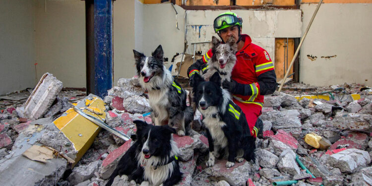 Entrenamiento de perros de rescate cobra popularidad en México debido a sismos