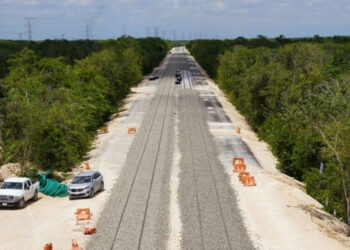 Juez ordena frenar la tala y el desmonte de terrenos en cuatro tramos del Tren Maya