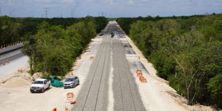 Juez ordena frenar la tala y el desmonte de terrenos en cuatro tramos del Tren Maya