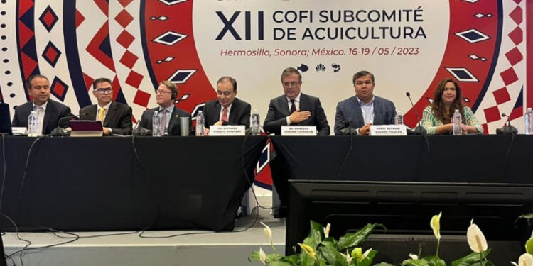 Marcelo Ebrard envía carta a John Kenedy: “Los comentarios racistas obligan a contestar formalmente”