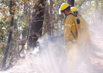 Llaman a evitar incendios forestales