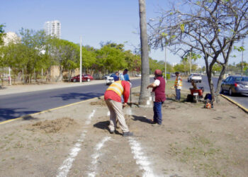Le dan vida a camellón central de la avenida Leonismo