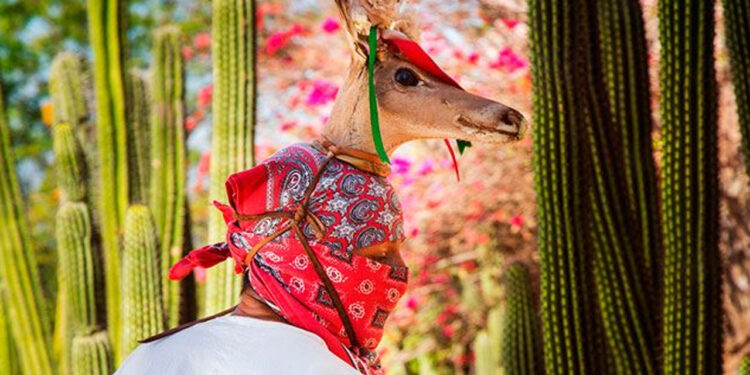 Presenta SECTUR rutas turísticas en los 18 municipios con programa “Descubre Sinaloa”