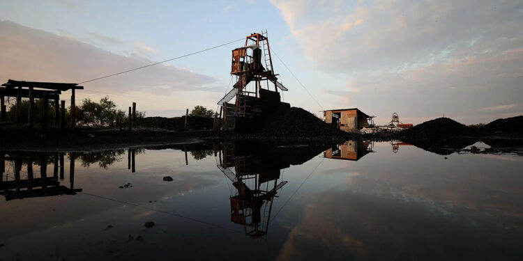 A proceso socio mayoritario de mina El Pinabete