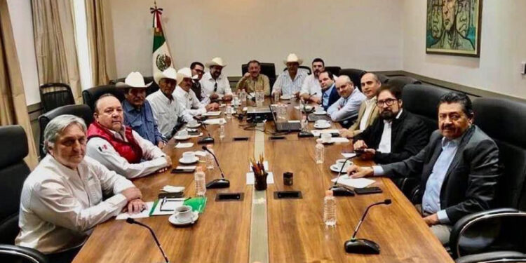 Que los productores tengan confianza, vamos para adelante: Rocha