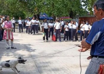 Maestro arrastra a perrita y tira cachorros a basura en Oaxaca
