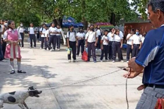 Maestro arrastra a perrita y tira cachorros a basura en Oaxaca