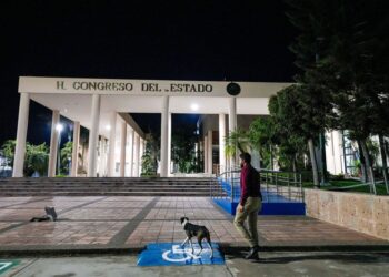 “Pandora”, la simpática e inspiradora perrita del Congreso de Sinaloa