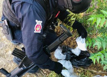Policía Estatal Preventiva asegura droga en Culiacán