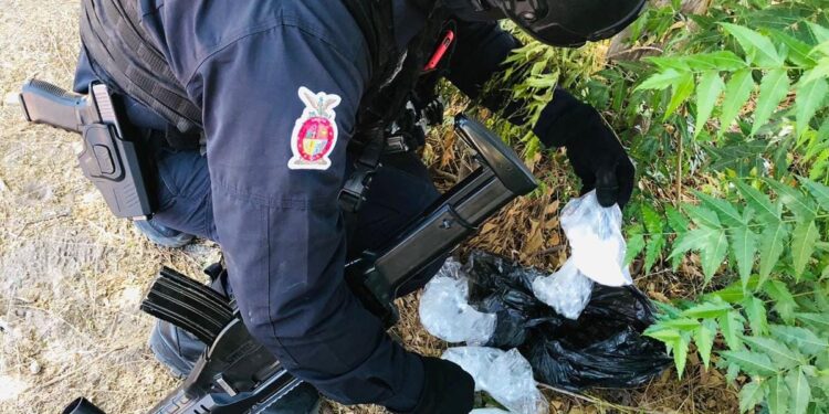 Policía Estatal Preventiva asegura droga en Culiacán